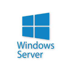 Logo - Microsoft Windows Server